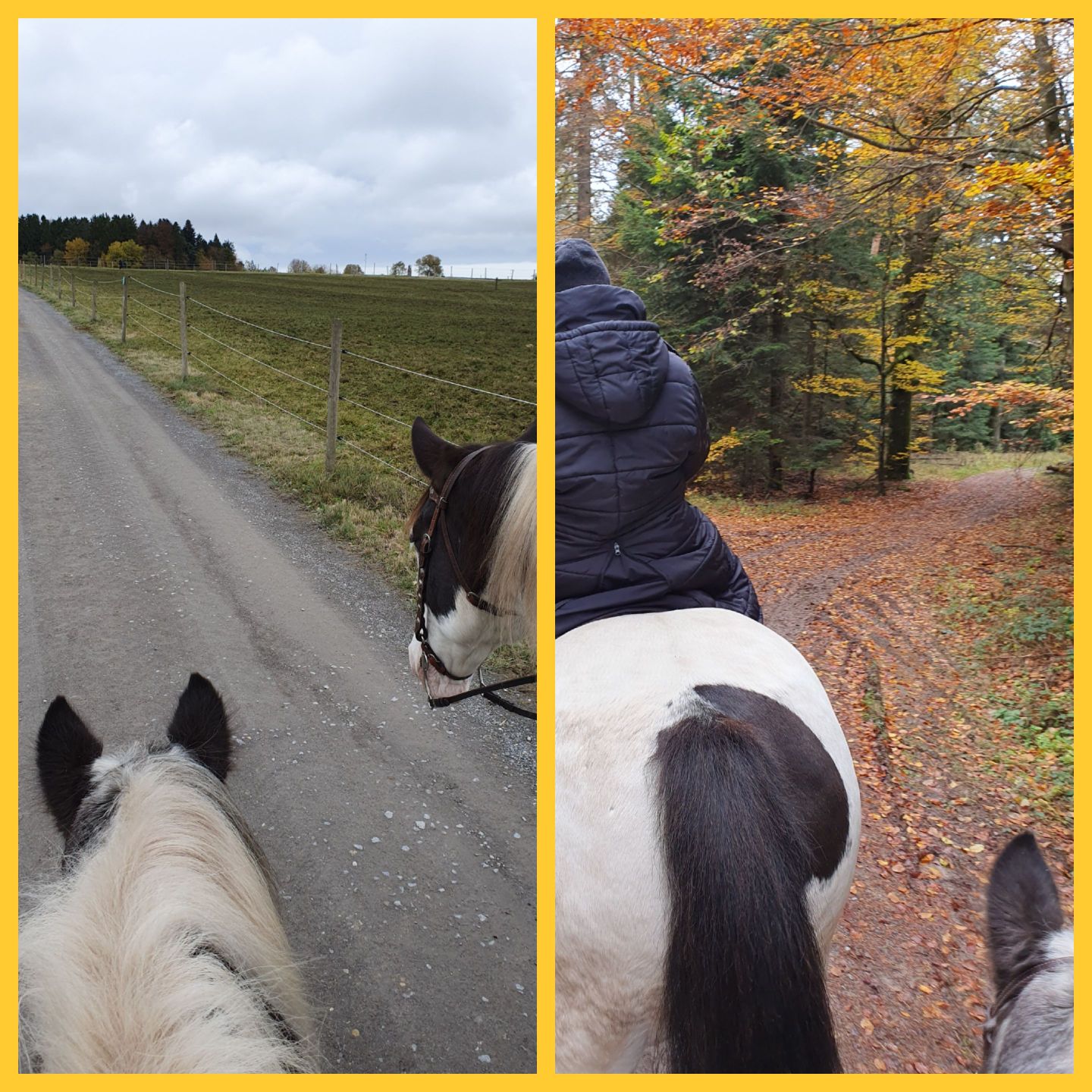 2023 11 November 585